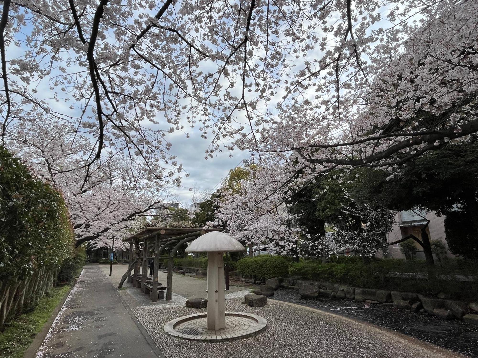 Апартаменти 松島雅居 Токіо Екстер'єр фото